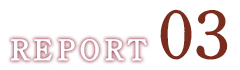 REPORT03