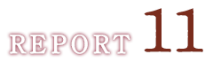 REPORT11