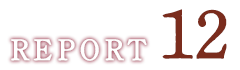 REPORT12