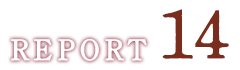 REPORT14