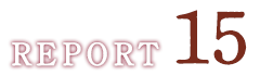 REPORT15